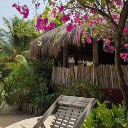 Jungle, flowers, and chill