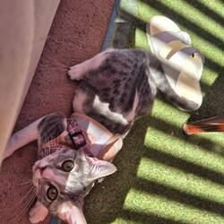 Haben beste Gesellschaft