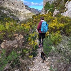 Der Weg in die Schlucht.