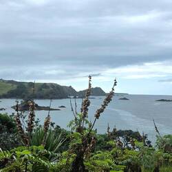 Baie des Îles (Bay of Islands)