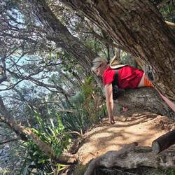 Little break sloth style