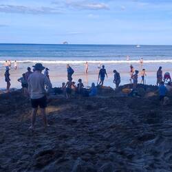 Hot Water Beach