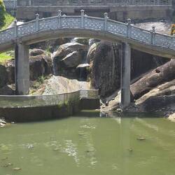 Viele kleine Schildkröten am Tempel