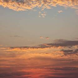 Koh-Lanta 🏝️☀️-