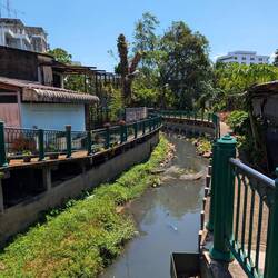 Trang-auf einem Spaziergang 🌿