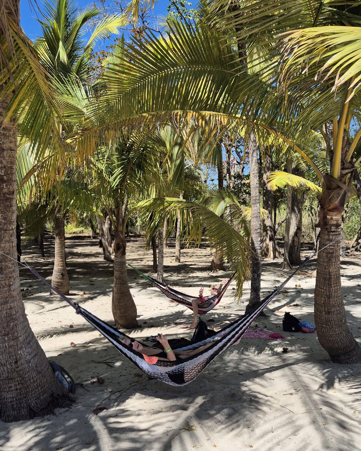 In Hängematten unter Palmen