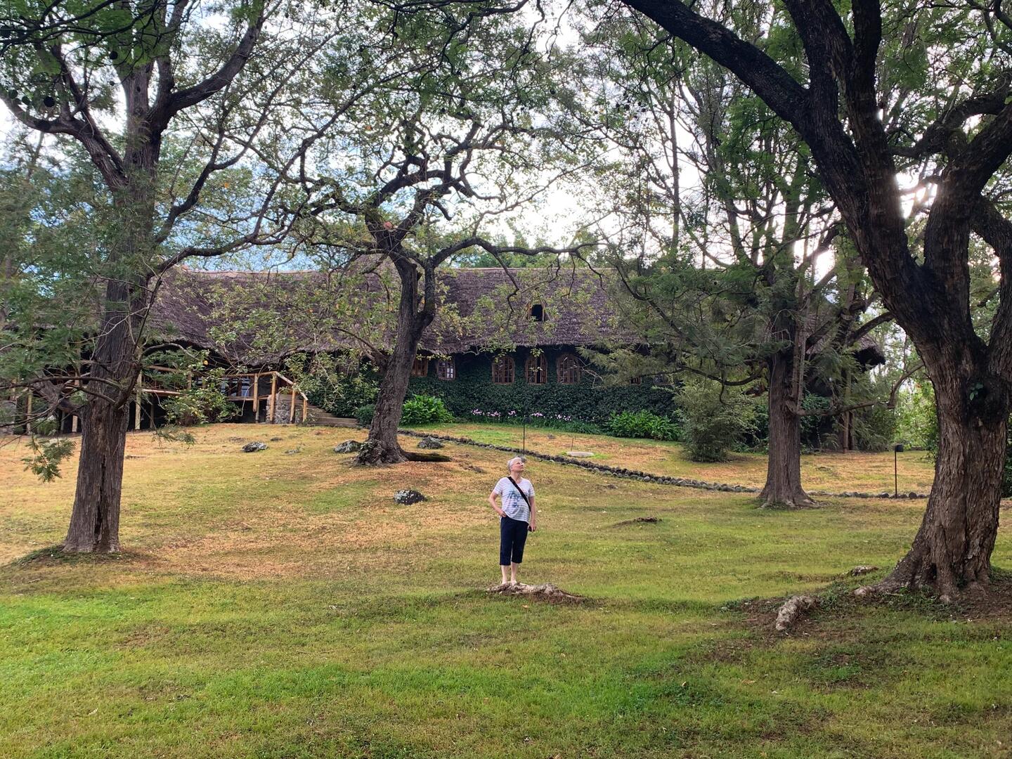 Im Garten vom African House