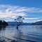 Dieser kleine Baum im Wasser ist mit die größte Sehenswürdigkeit in Wanaka. 😂