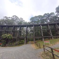 Noojee Trestle Bridge, die höchste erhaltene hölzerne Gerüstbrücke in Victoria