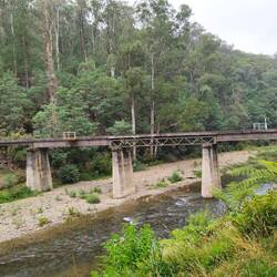 Thomson River Railway Bridge vor Walhalla