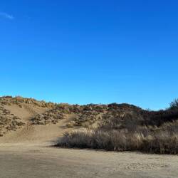Arriving at the dunes