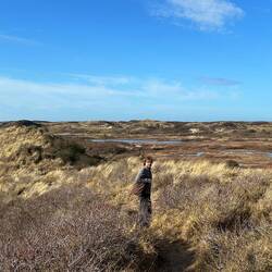Walking over the dunes