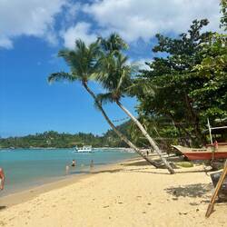 Strand von Port Barton 🏝️