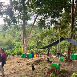 Areal ausserhalb der Arena 🏟️