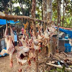 "Verliererstation" - vorbereitet zur Abholung
