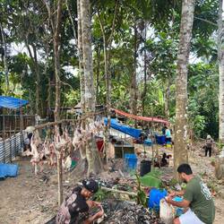 "Verliererstation" - kochen, rupfen, ausnehmen ⚰️🪦