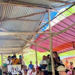 Kurze Provokation der Rivalen 🐓💪🐓