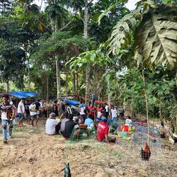 Lager der verschiedenen Gruppen