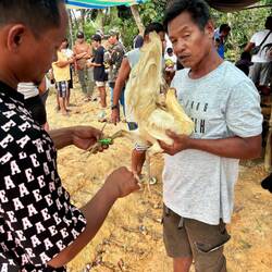 Anbringen der rasierklingen scharfen Sporen 🔪