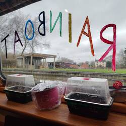 She also sowed some seeds indoors