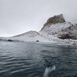 Brown Bluff