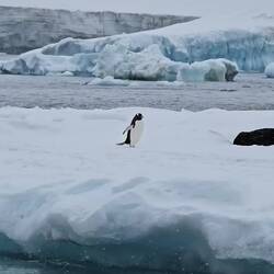 Just When You Think You Are Winning Someone Comes Sliding By