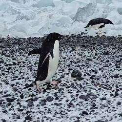 Out of my way everyone