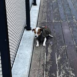 Er mag nicht weitergehen 😯