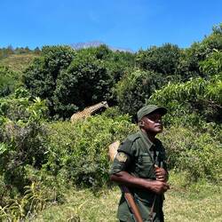Ha ha da hat er grad erklärt das hier normalerweise Giraffen sind aber grad nicht gefunden