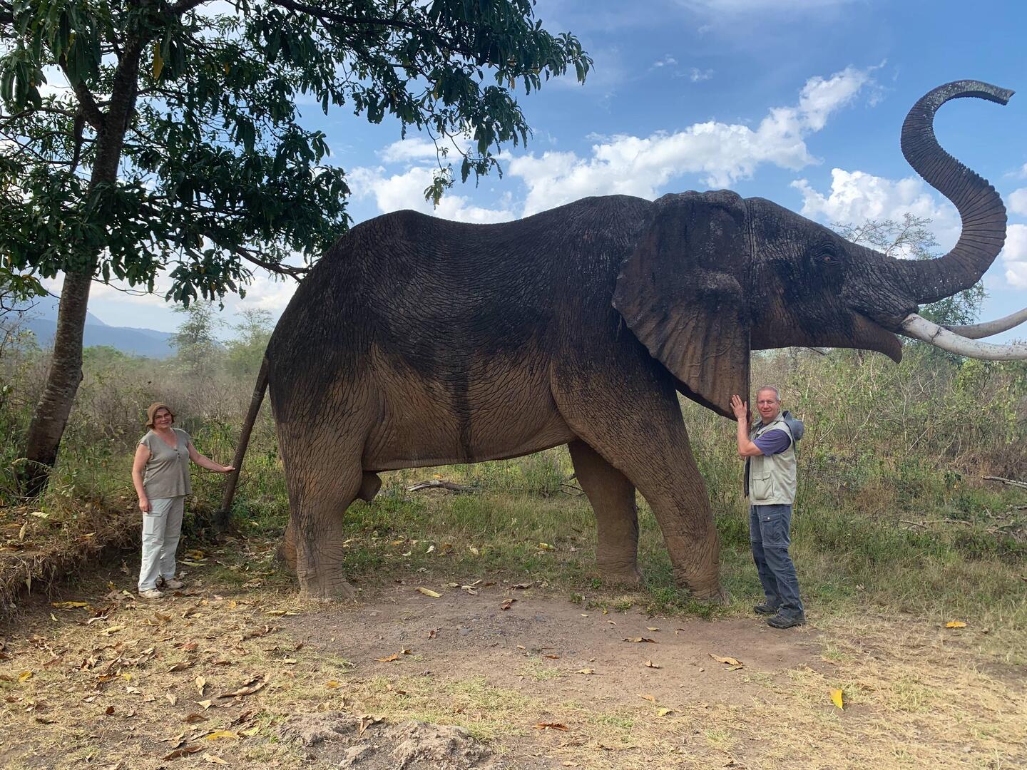 Für alle die keinen echten sehen.... können diesen mal am Schwanz ziehen 🤣