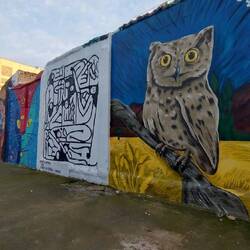 Rundgang durch die Altstadt.