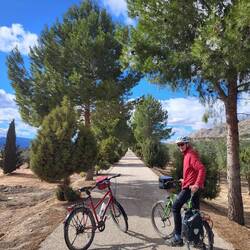 Toller asphaltierter Radweg.