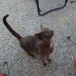 gibt's für mich auch was ??