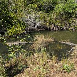 Mutter mit (fast) erwachsenem..