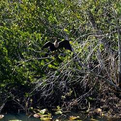 Trocknung erforderlich