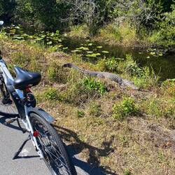 Ganz hautnahes Erlebnis heute einige Male 😉