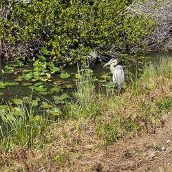 Abwarten bis man zuschlagen kann🙃