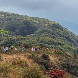Mit vielen anderen auf dem Kew Mae Pan Naturlehrpfad