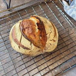 Mein erstes Sauerteigbrot 🍞