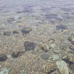 Water at Lake Roca was soo clear ,it was like glass