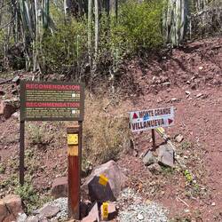 Im Notfall Esel Transport