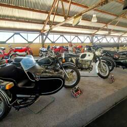 Möglicherweise die letzten Gespanne in Chile. Auf den Straßen gibt es wohl keine mehr 🙄