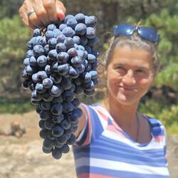 ...vom Weinbauern um die Ecke