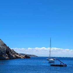 Noch ein Ausflug zu Woody Island 🏝️