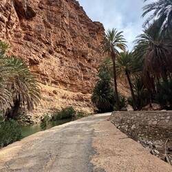 Da links gehe ich dann später noch ins Wasser 💦