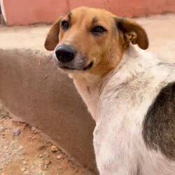 Bisschen windig 😂😂