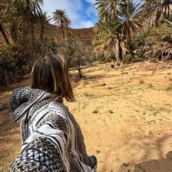 Unzählige prächtige Dattelpalmen im Flußbett 🙂