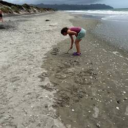 Etwas Französischunterricht...