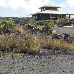 Maison construite sur le lave à Kalapana