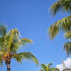 Bei grässlichstem Wetter